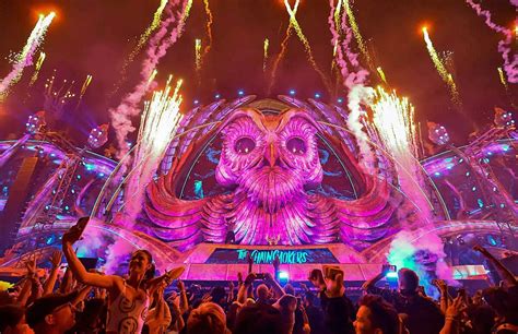 electric daisy carnival weddings.